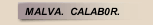 MALVA.  CALAB0R.